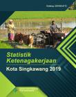 Statistik Ketenagakerjaan Kota Singkawang Tahun 2019