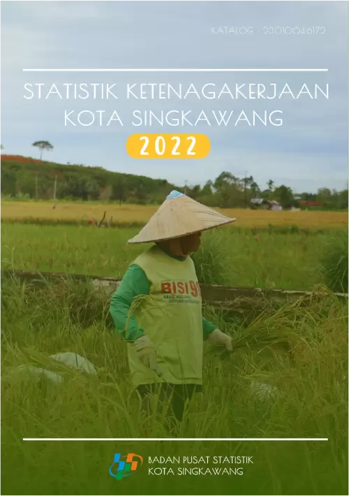 Statistik Ketenagakerjaan Kota Singkawang 2022
